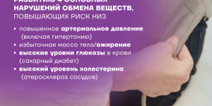Profinf0226